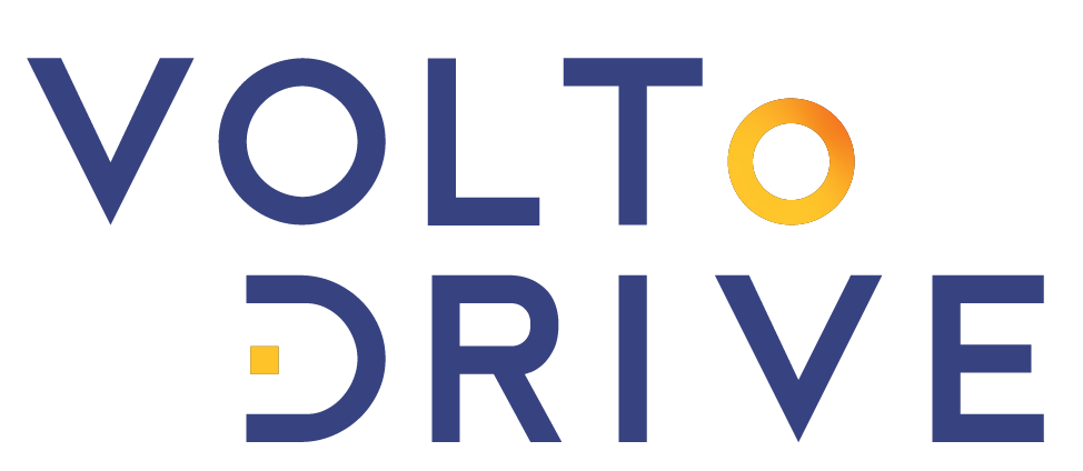 logo-volto-drive-color
